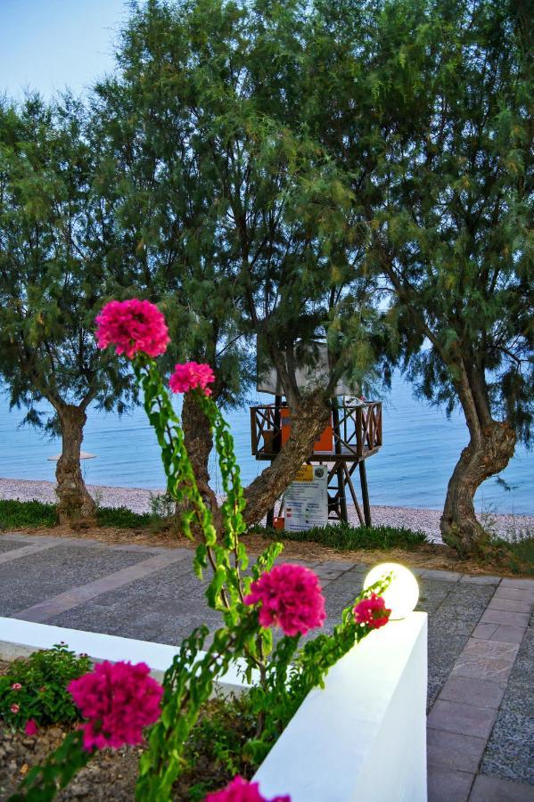 Aliki Studios Paralia Agias Foteinis Bagian luar foto