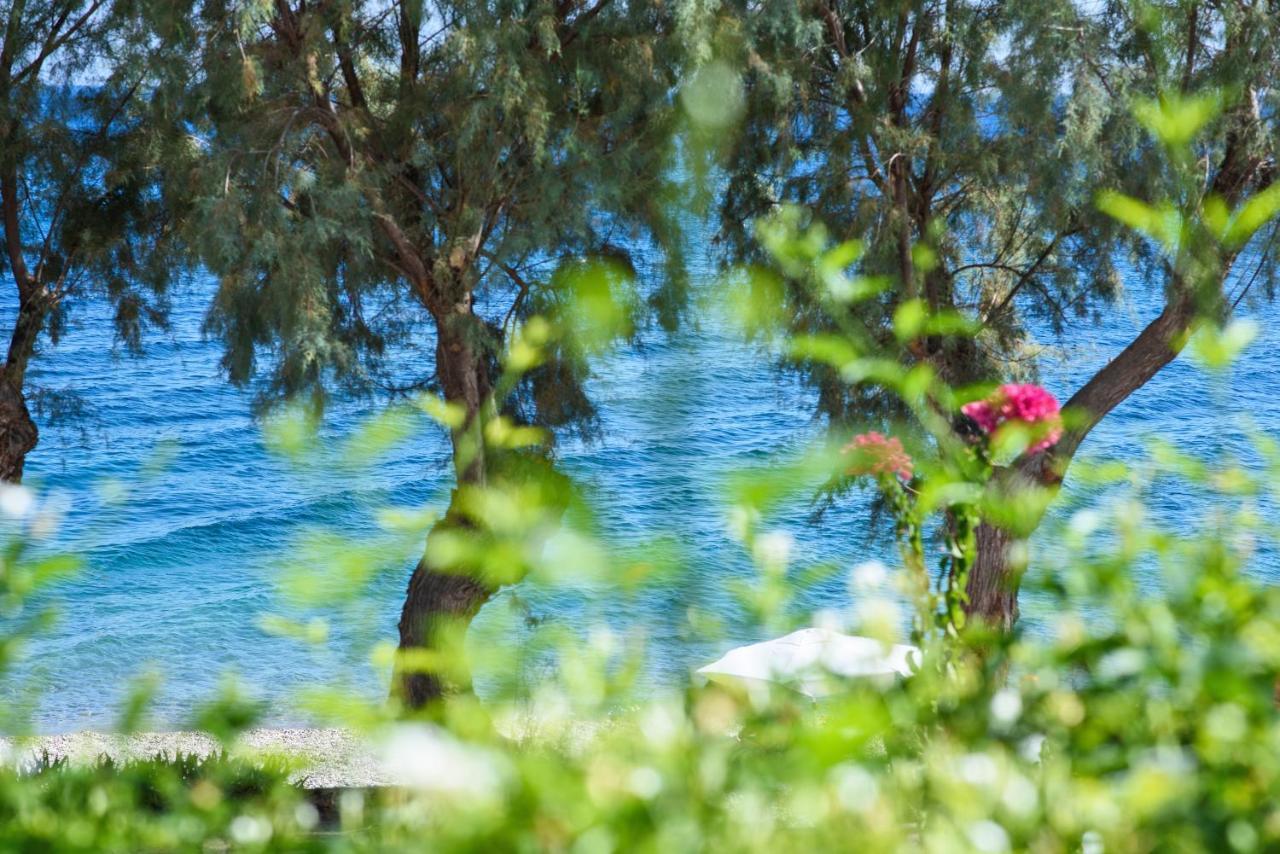 Aliki Studios Paralia Agias Foteinis Bagian luar foto